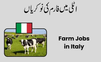 Farm Jobs in Italy