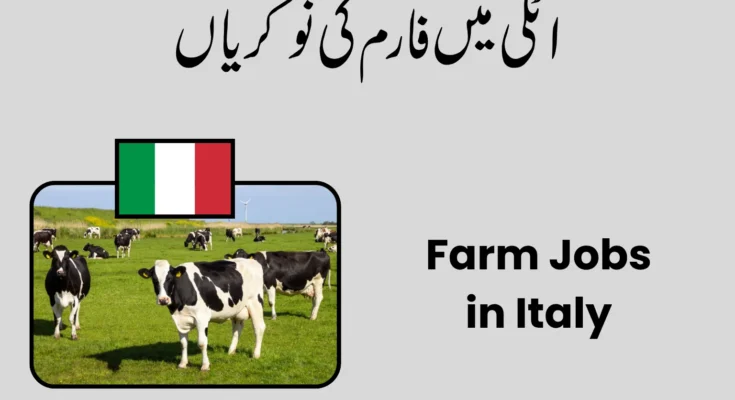 Farm Jobs in Italy