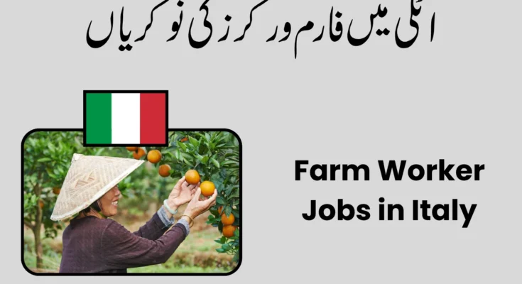 Farm Worker Jobs in Italy