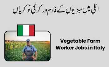 Vegetable Farm Worker Jobs in Italy