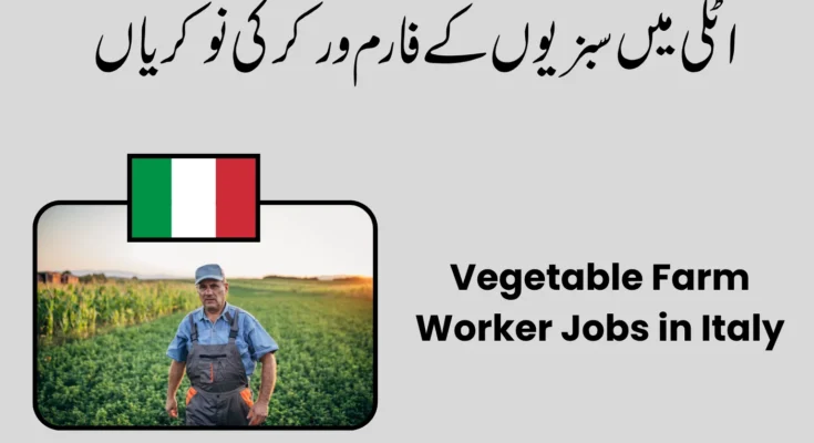 Vegetable Farm Worker Jobs in Italy